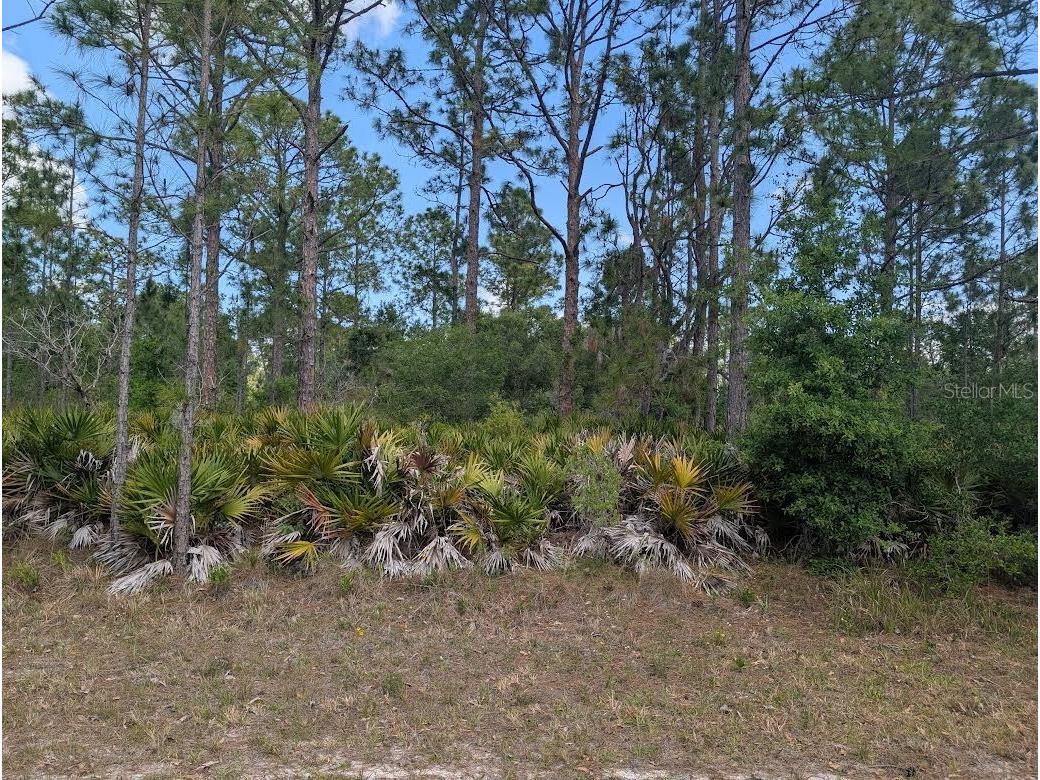 508 Orchid Drive Indian Lake Estates FL 33855 - LAKE WALK-IN-WATER P4938583 image3