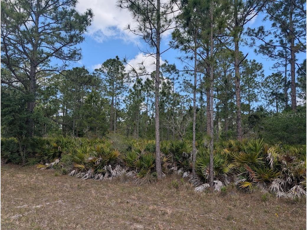 508 Orchid Drive Indian Lake Estates FL 33855 - LAKE WALK-IN-WATER P4938583 image6
