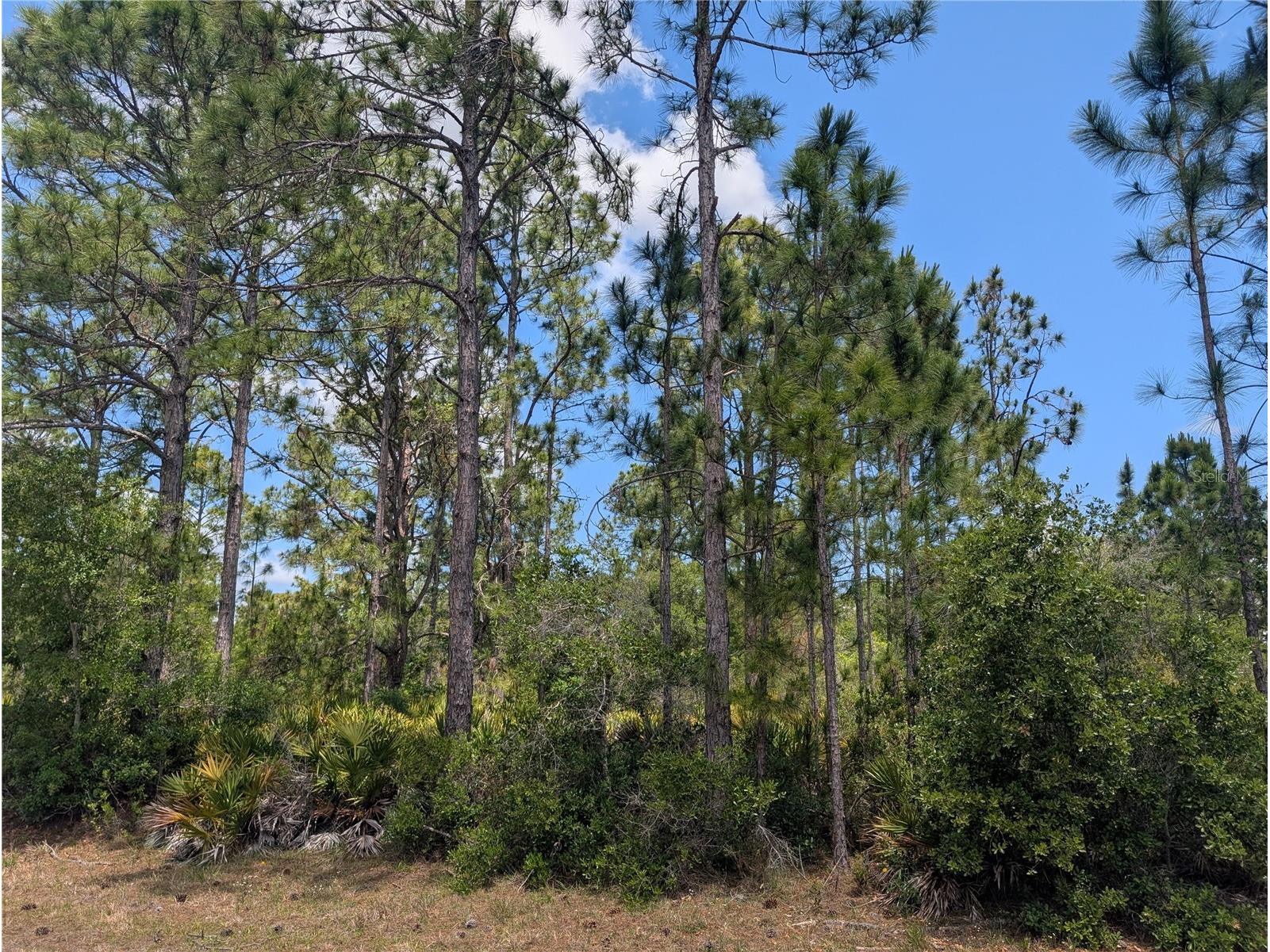 508 Orchid Drive Indian Lake Estates FL 33855 - LAKE WALK-IN-WATER P4938583 image7