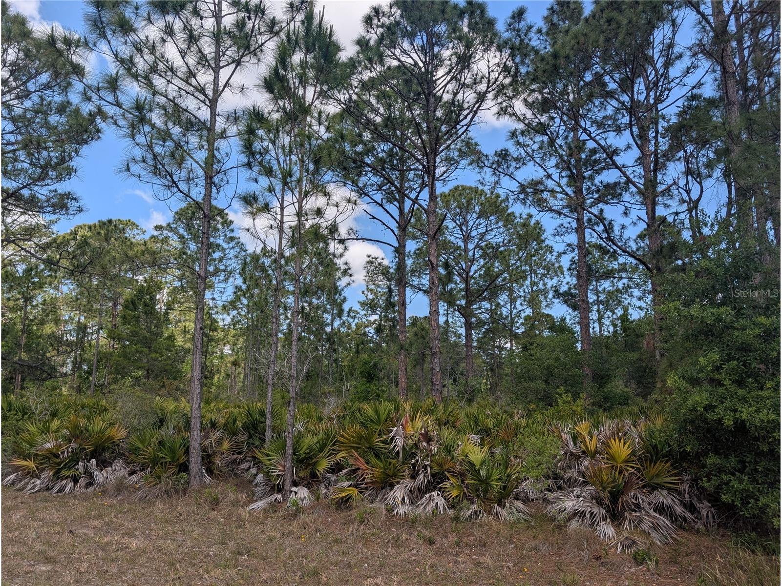 508 Orchid Drive Indian Lake Estates FL 33855 - LAKE WALK-IN-WATER P4938583 image8