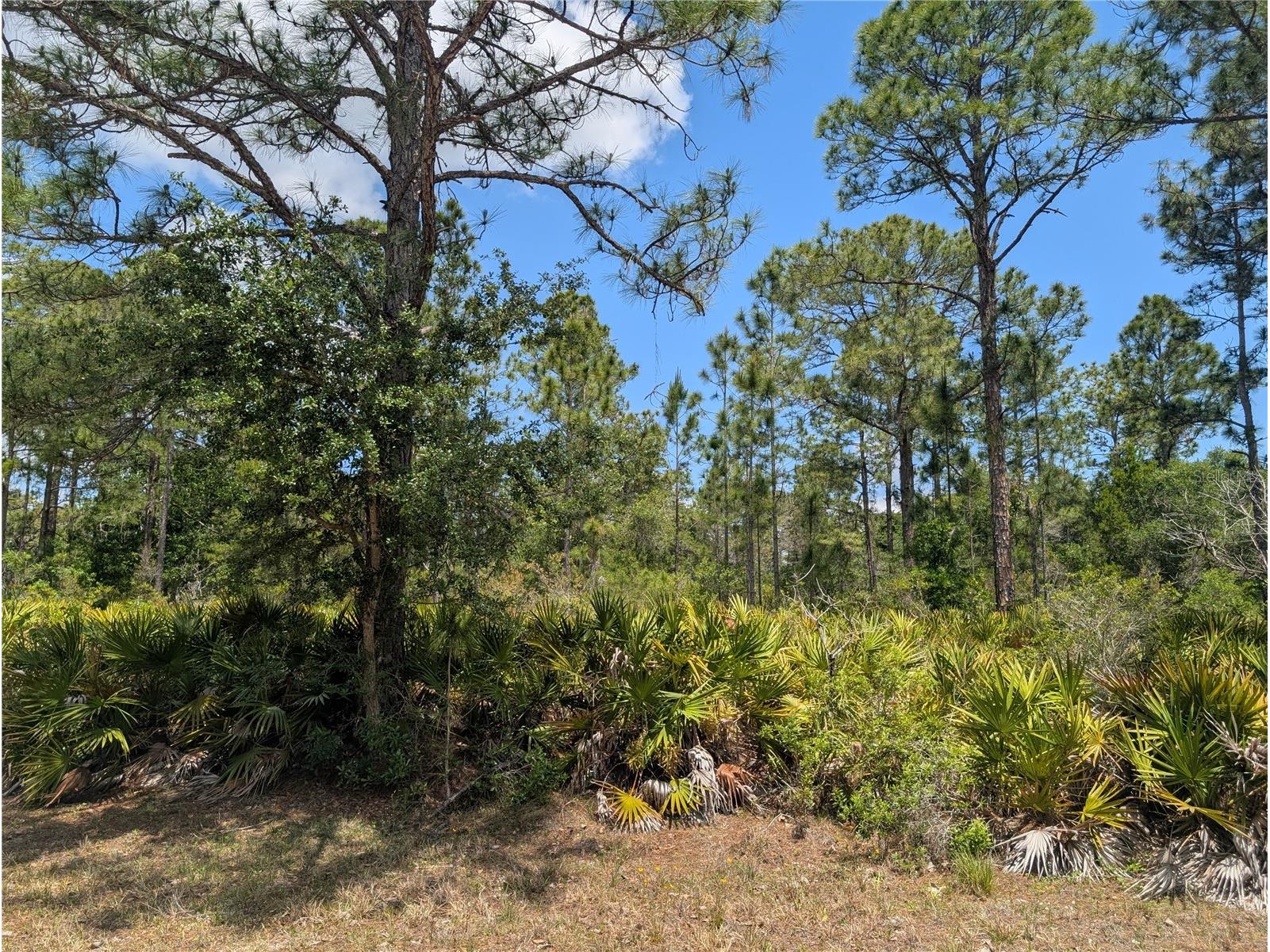 508 Orchid Drive Indian Lake Estates FL 33855 - LAKE WALK-IN-WATER P4938583 image9