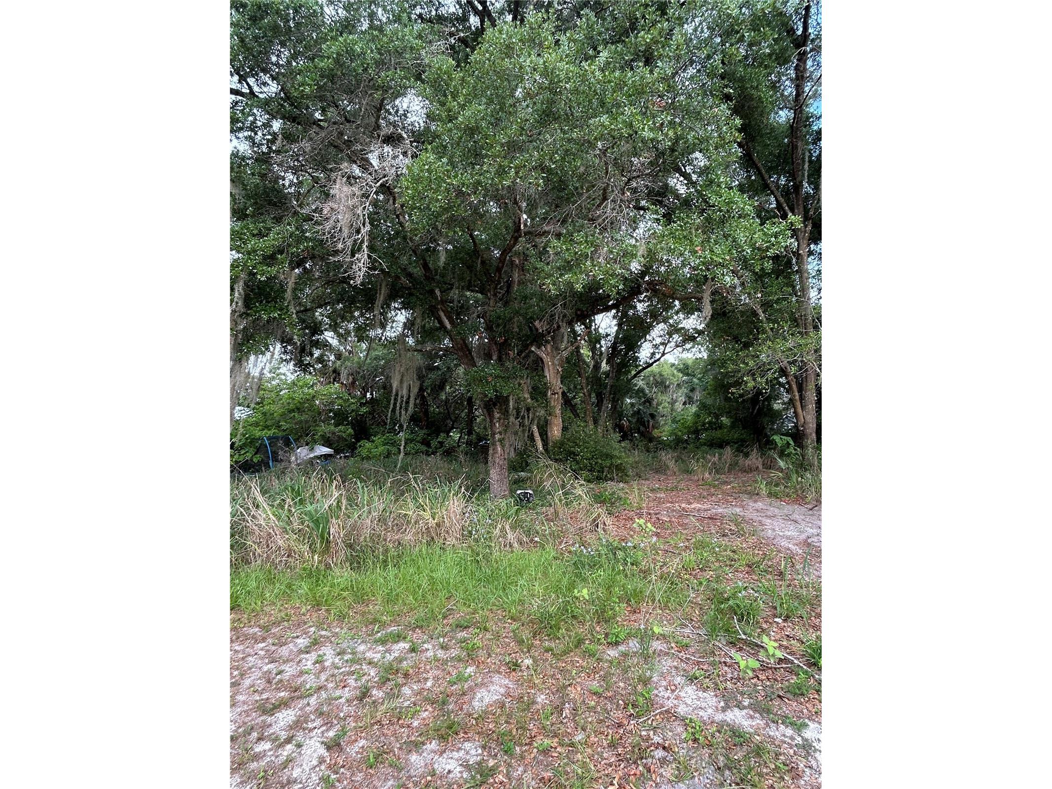 508 Palmetto Street Eustis FL 32726 G5113238 image2