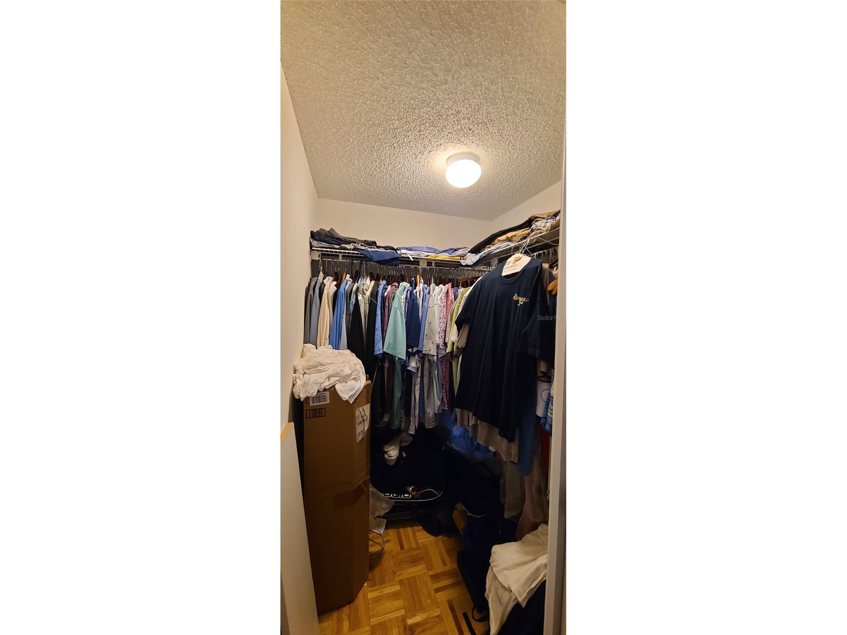 508 S Glen Avenue #3 Tampa FL 33609 TB8511947 image5