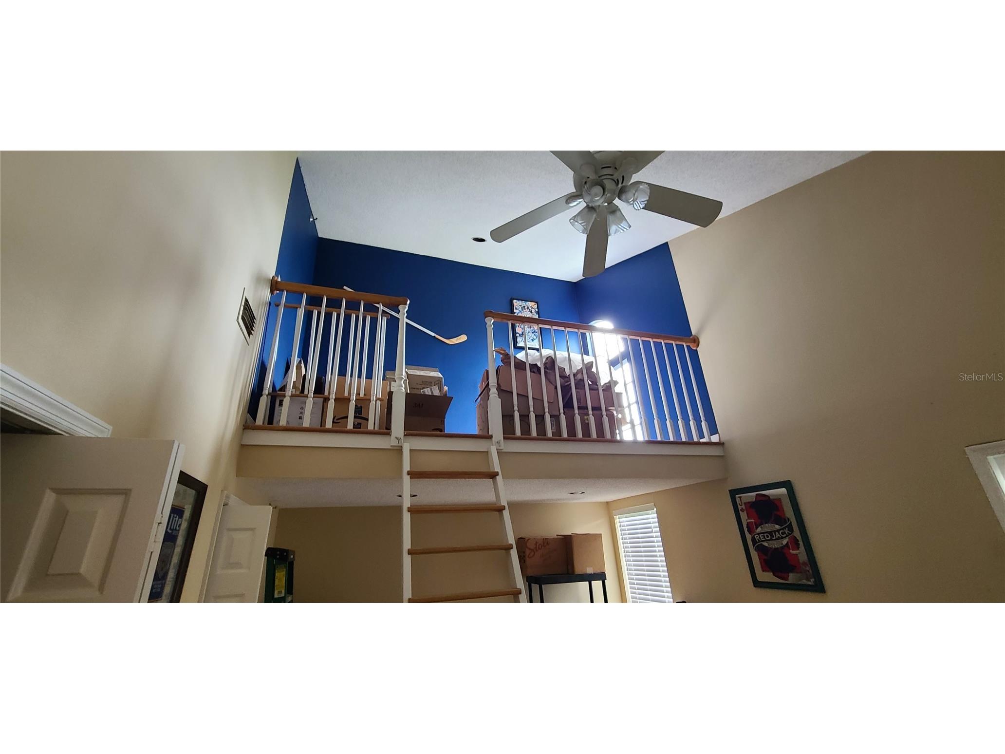 508 S Glen Avenue #3 Tampa FL 33609 TB8511947 image8