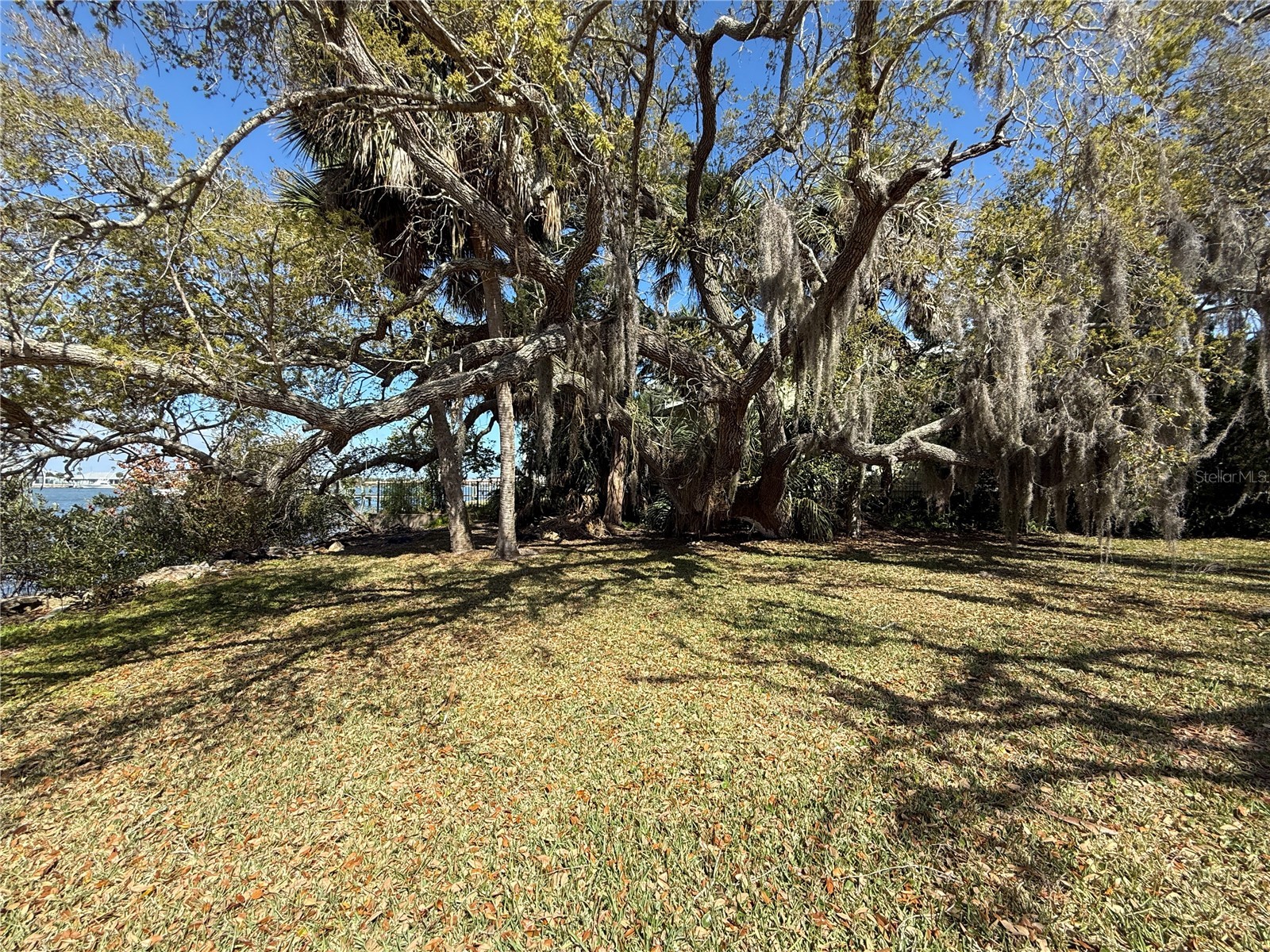 508 S Indian River Road New Smyrna Beach FL 32169 - INTRACOASTAL WATERWAY NS1087777 image26