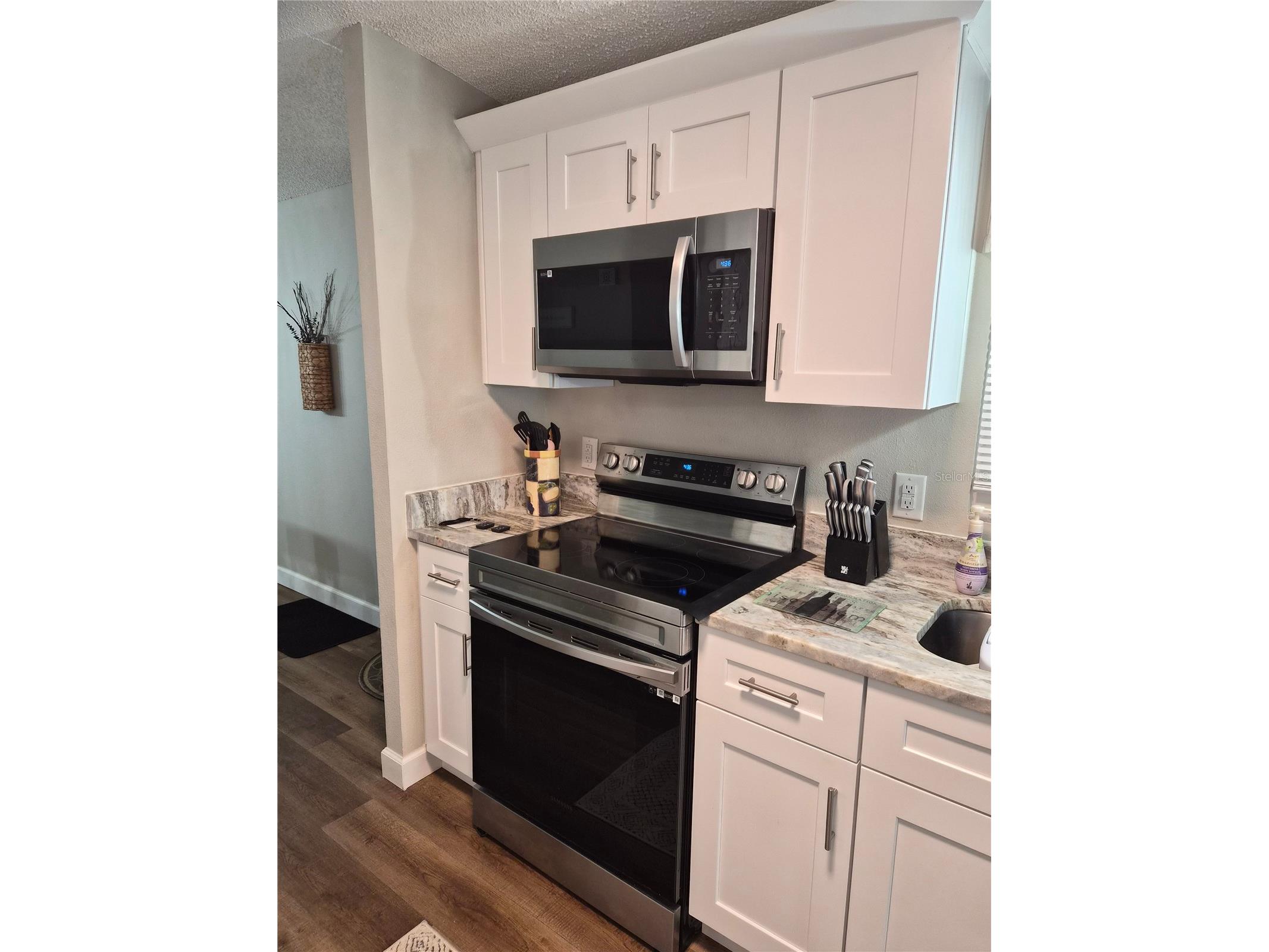 508 Saint Andrews Boulevard The Villages FL 32159 O6393750 image9
