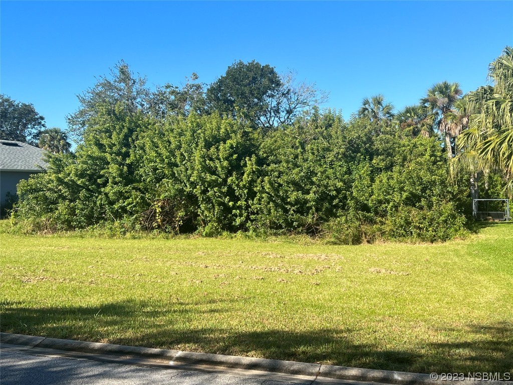 508 Terrier Way New Smyrna Beach FL 32168 NS1077583 image1