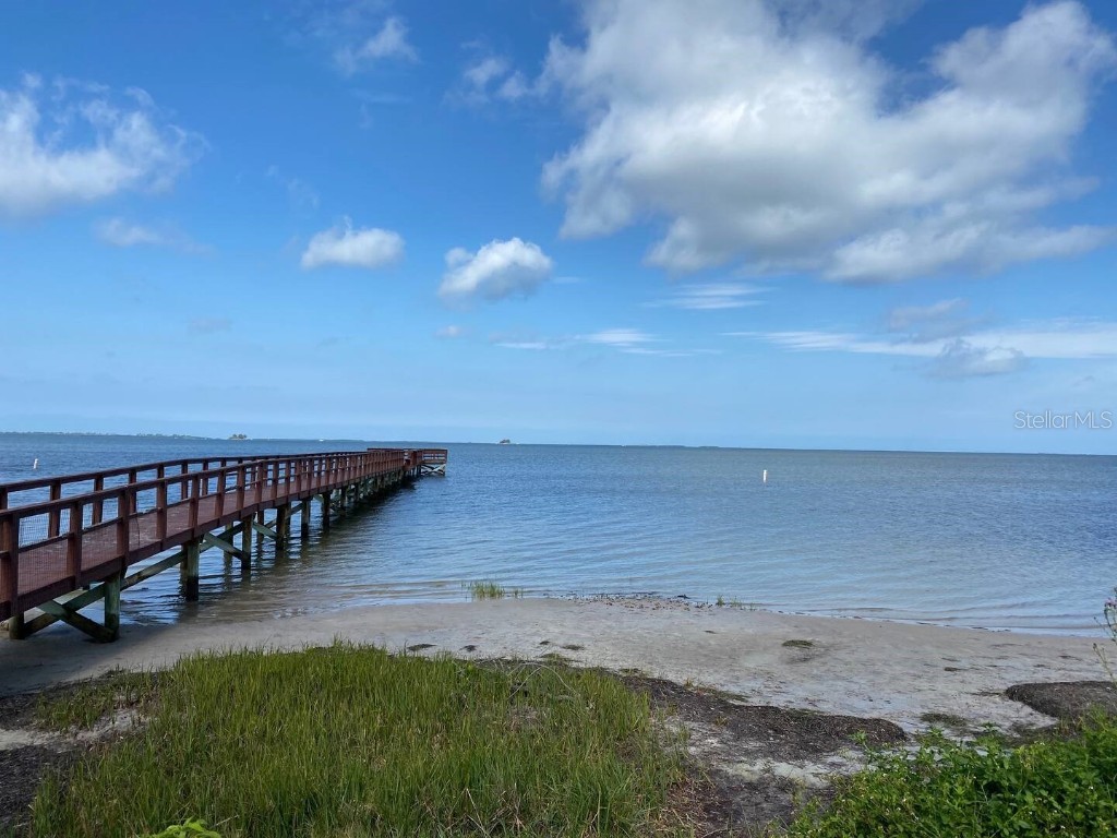 508 Ulelah Avenue #2 Palm Harbor FL 34683 TB8410156 image6