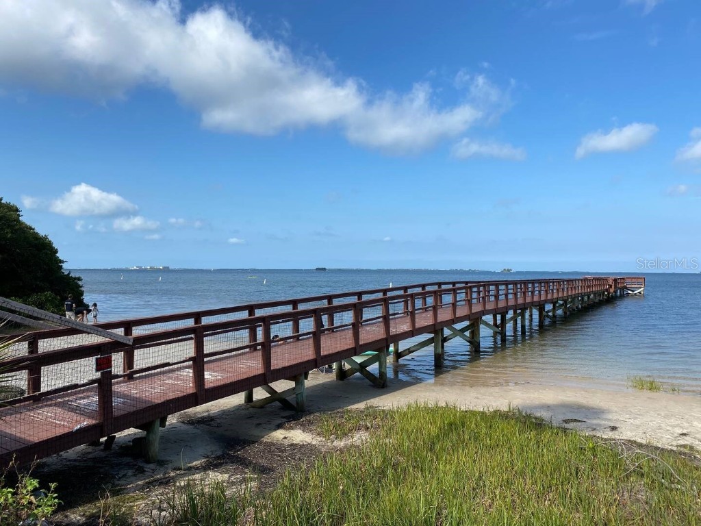 508 Ulelah Avenue Palm Harbor FL 34683 TB8410162 image18