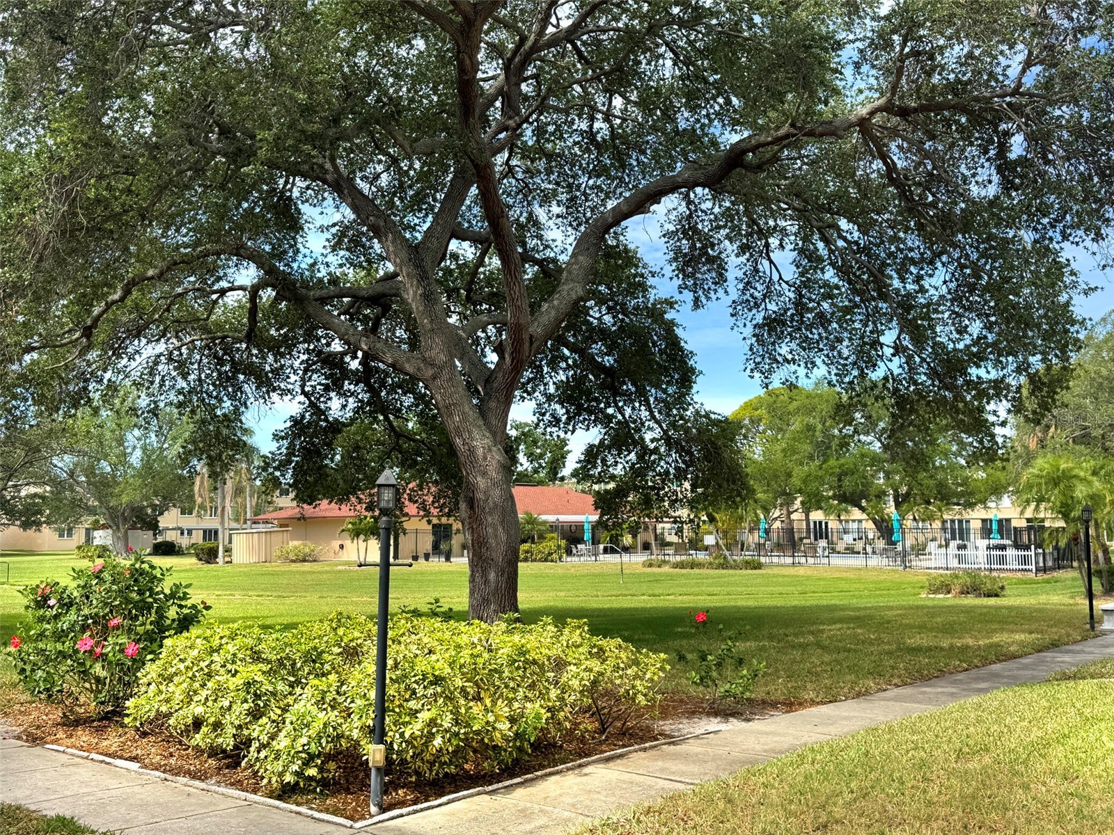 5080 Locust Street NE #219 Saint Petersburg FL 33703 O6407956 image31