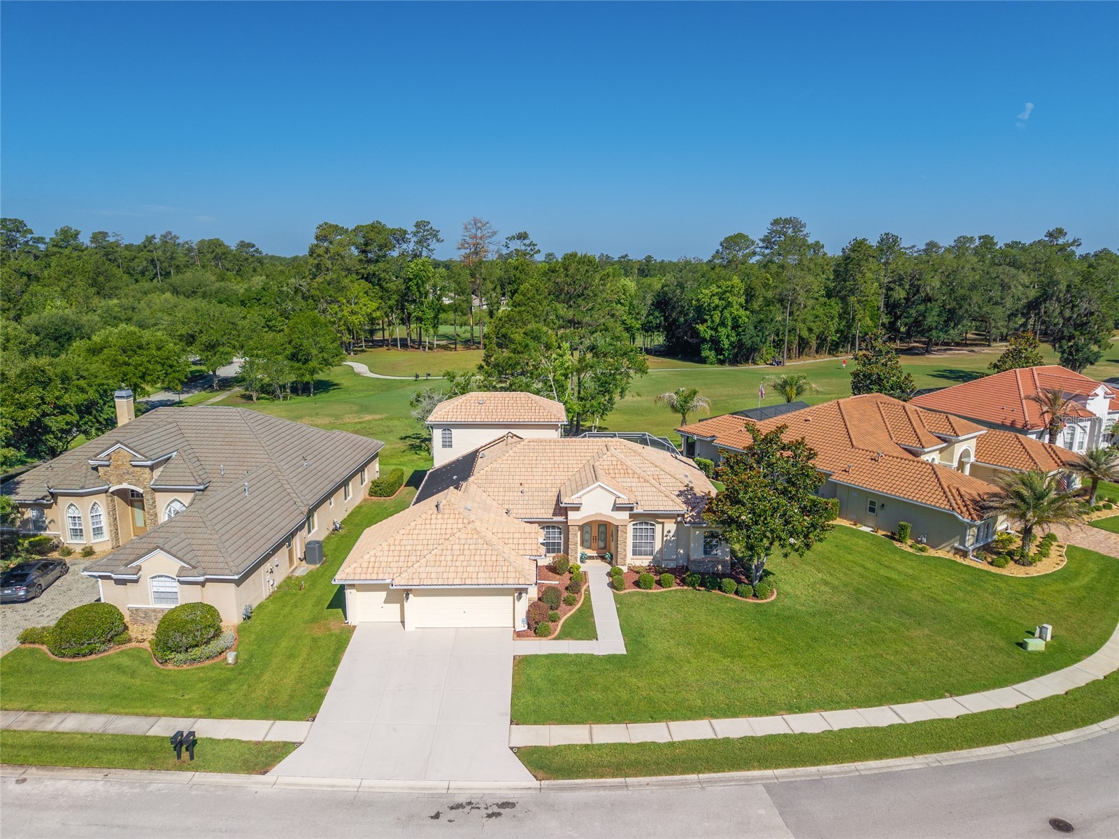 5081 Delacroix Drive Brooksville FL 34604 OM725042 image50