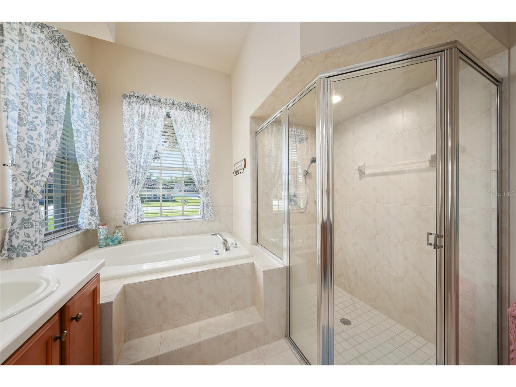 5081 Delacroix Drive Brooksville FL 34604 OM725042 image68