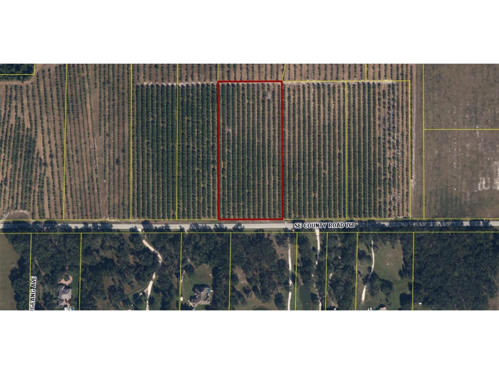 5081 SE Creekside Lane Arcadia FL 34266 A4696433 image5