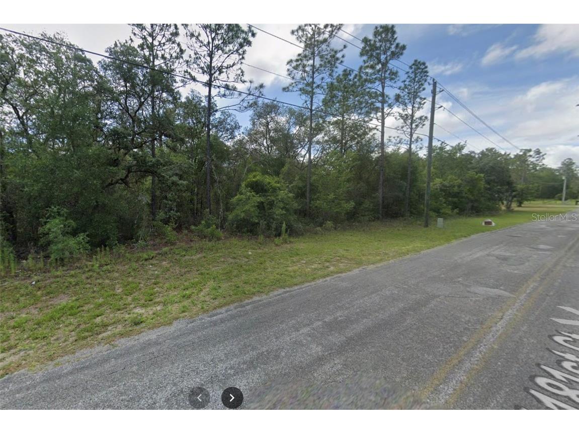 5081 SW 181st Court Dunnellon FL 34432 O6236272 image1