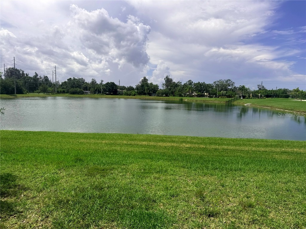 5082 Inshore Landings Drive Apollo Beach FL 33572 TB8395811 image23