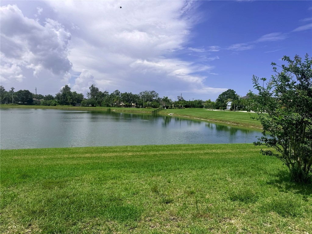 5082 Inshore Landings Drive Apollo Beach FL 33572 TB8395811 image39