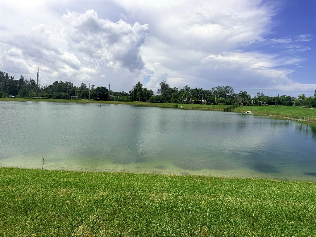 5082 Inshore Landings Drive Apollo Beach FL 33572 TB8395811 image4