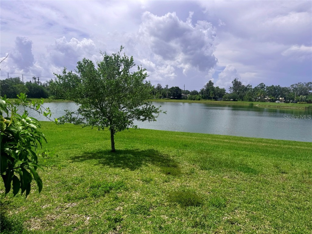 5082 Inshore Landings Drive Apollo Beach FL 33572 TB8395811 image40