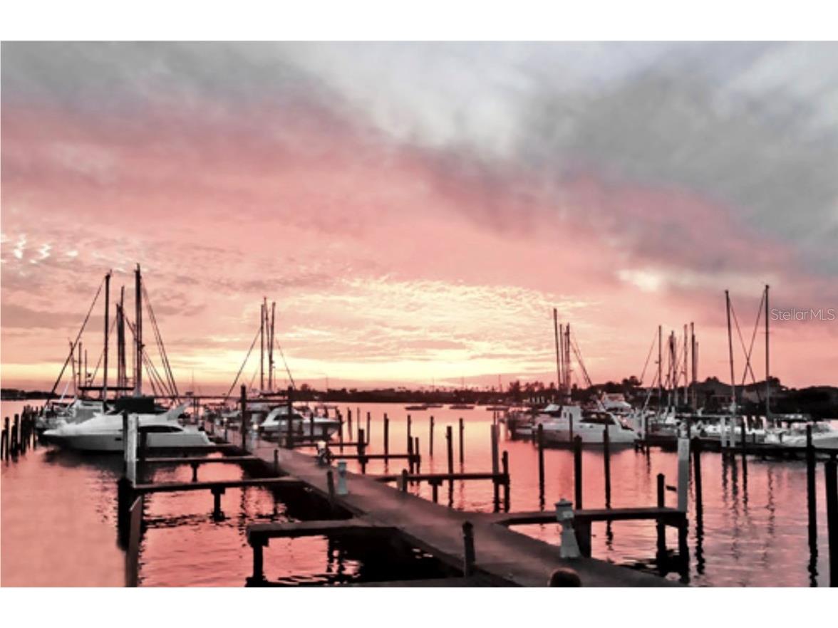 5082 Inshore Landings Drive Apollo Beach FL 33572 TB8395811 image46