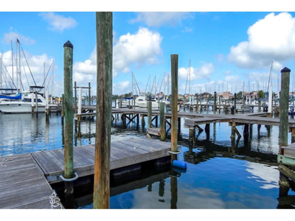 5082 Inshore Landings Drive Apollo Beach FL 33572 TB8395811 image48