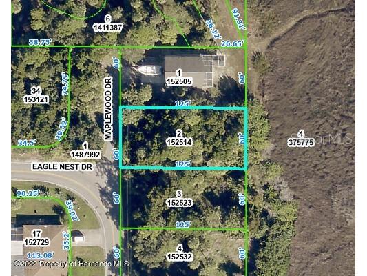 5082 Maplewood Drive Hernando Beach FL 34607 W7871050 image1