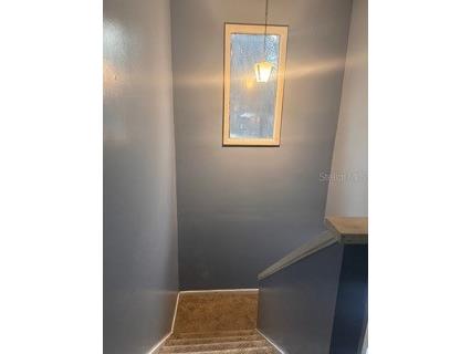 5084 Downing Street #2 Orlando FL 32839 O6391802 image3