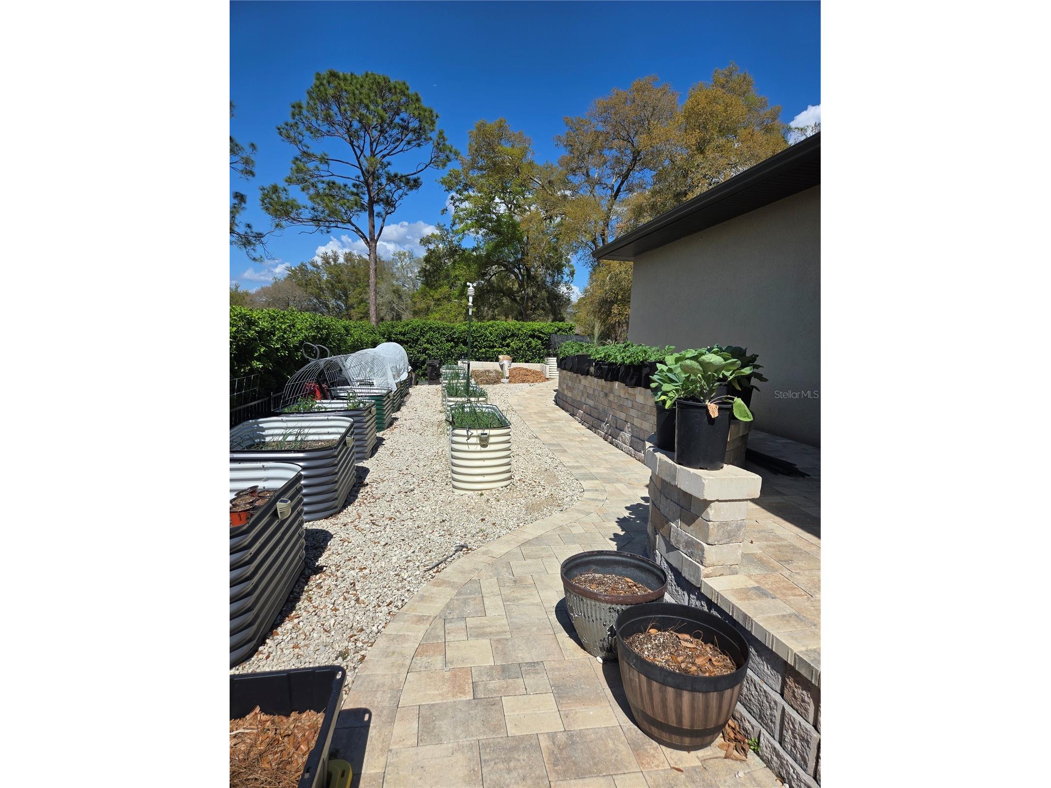 5084 Greens Drive Lady Lake FL 32159 A4691465 image49