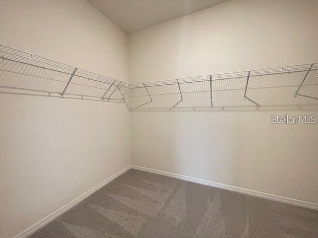 5084 Stokes Way Wildwood FL 34785 OM718570 image17