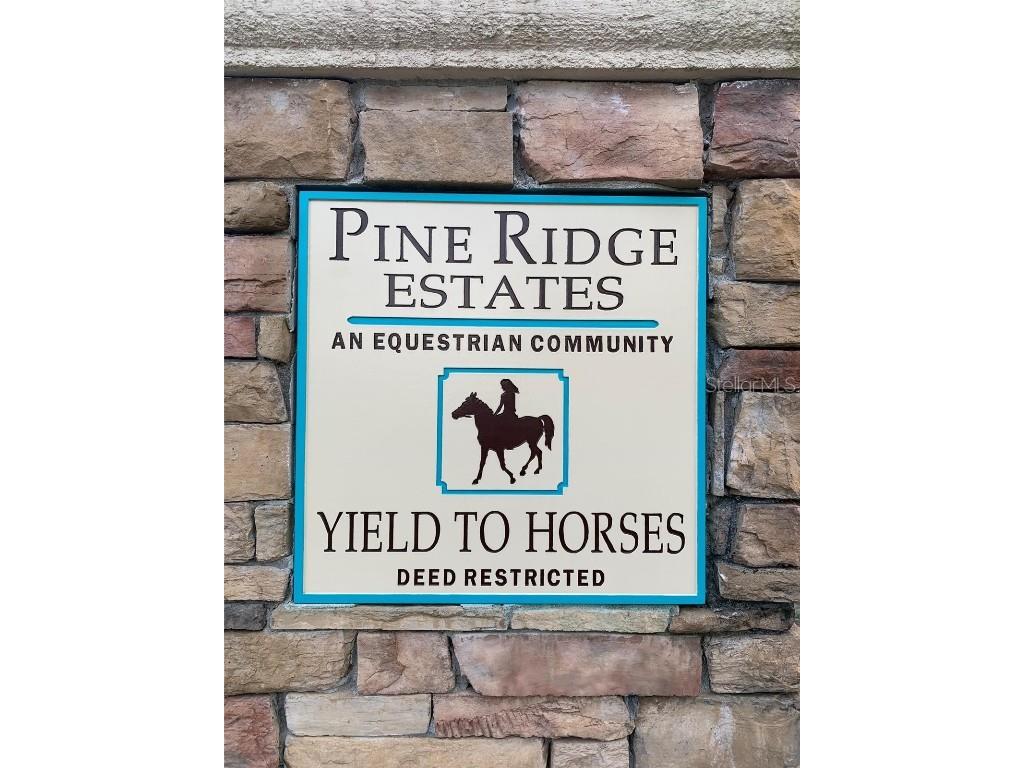 5085 N Princewood Drive Beverly Hills FL 34465 OM713448 image4