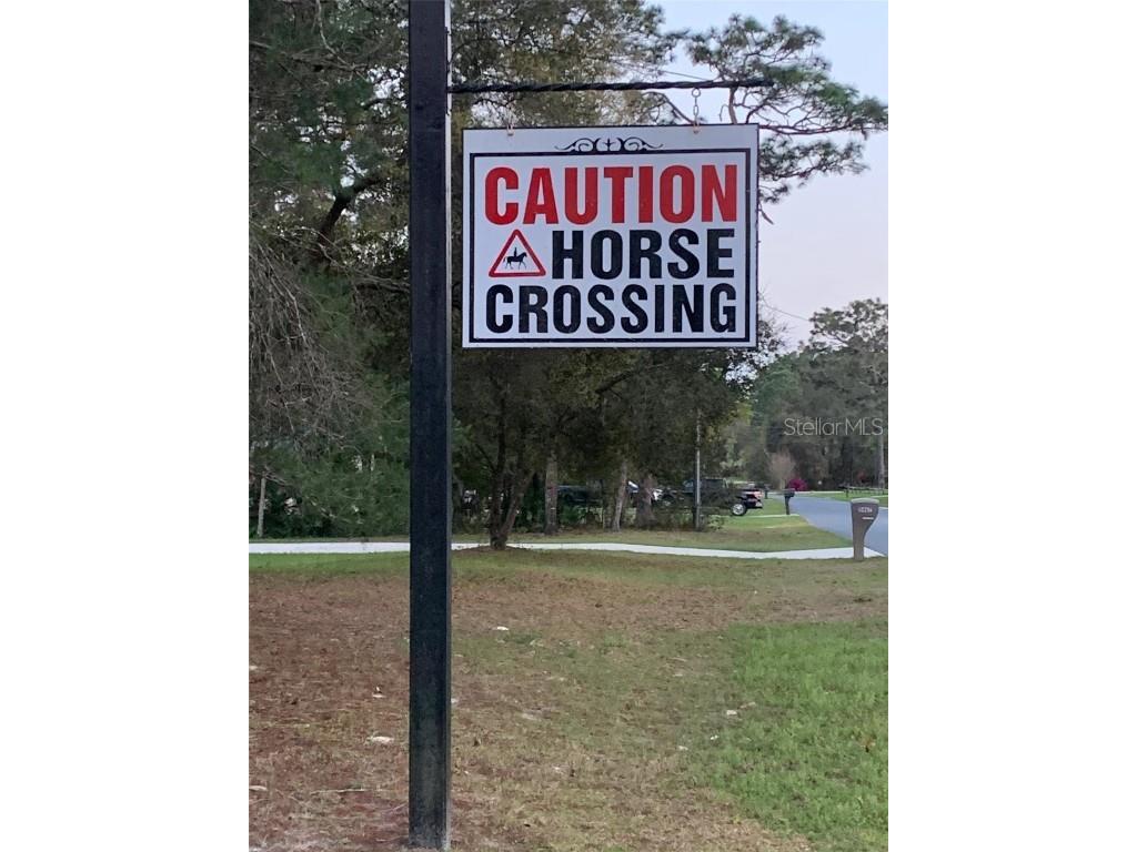 5085 N Princewood Drive Beverly Hills FL 34465 OM713448 image6