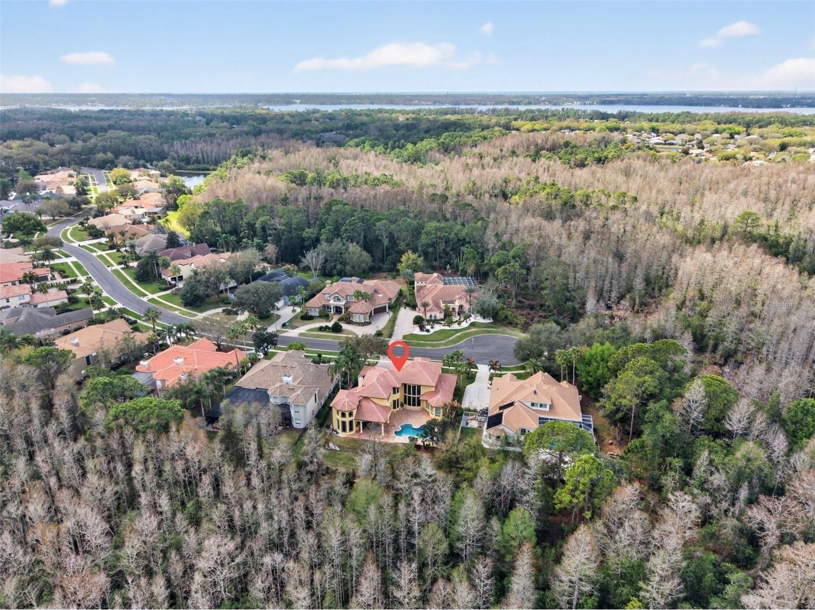 5085 Quill Court Palm Harbor FL 34685 TB8486118 image66