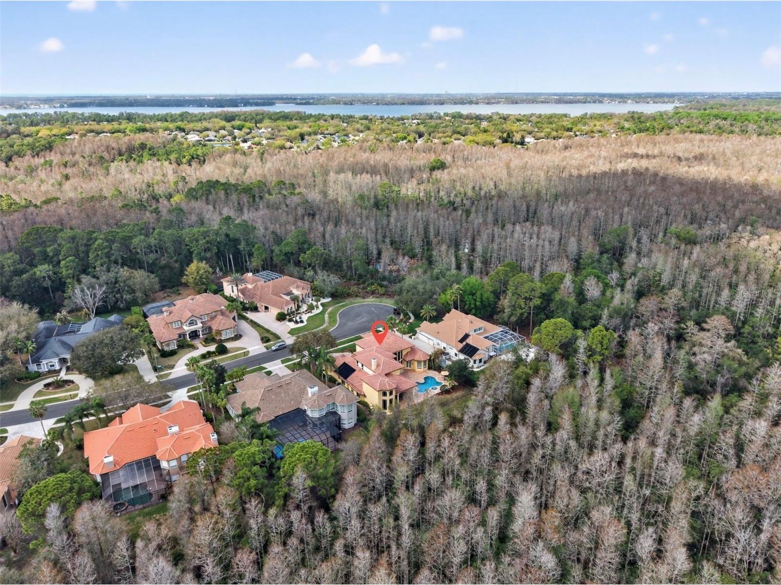 5085 Quill Court Palm Harbor FL 34685 TB8486118 image67