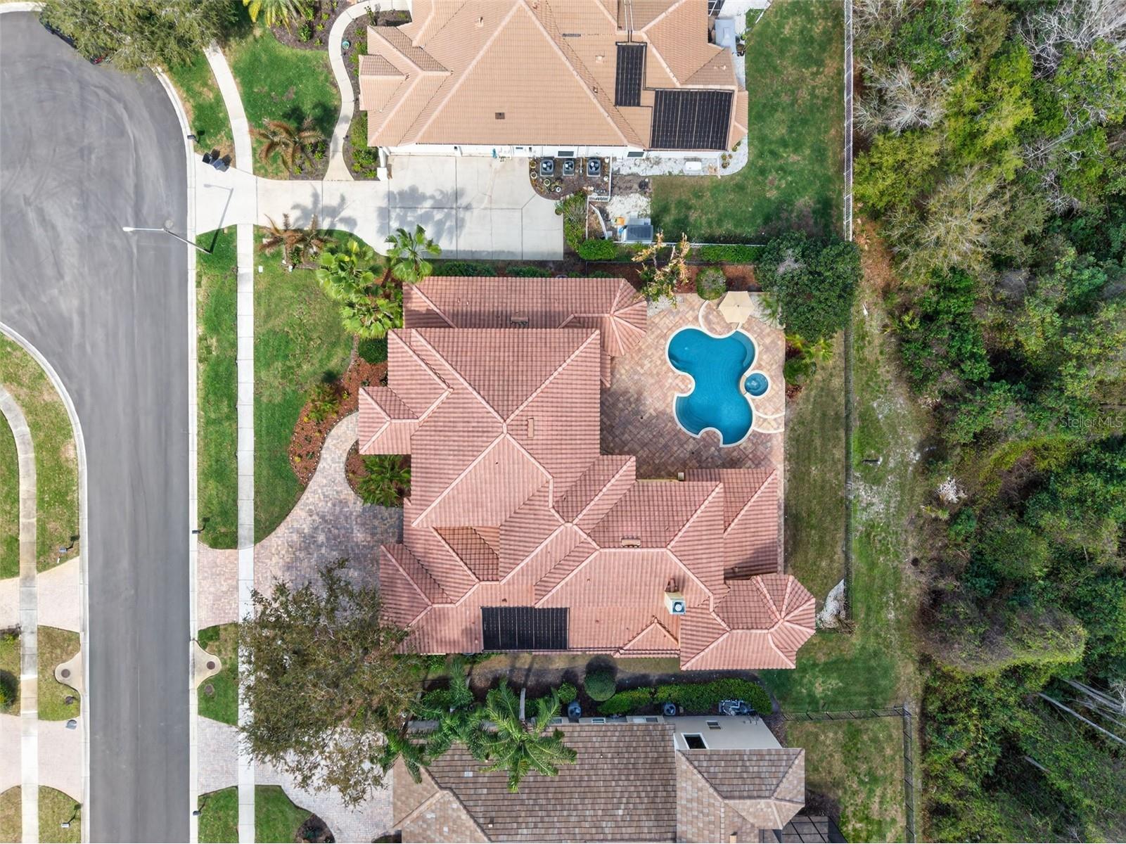 5085 Quill Court Palm Harbor FL 34685 TB8486118 image68