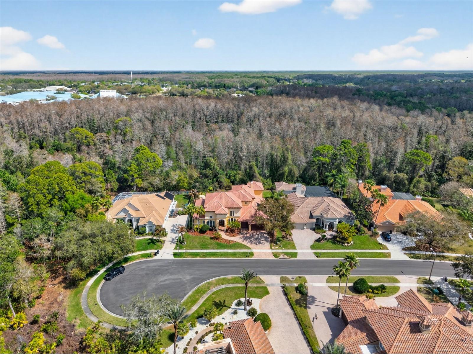 5085 Quill Court Palm Harbor FL 34685 TB8486118 image69