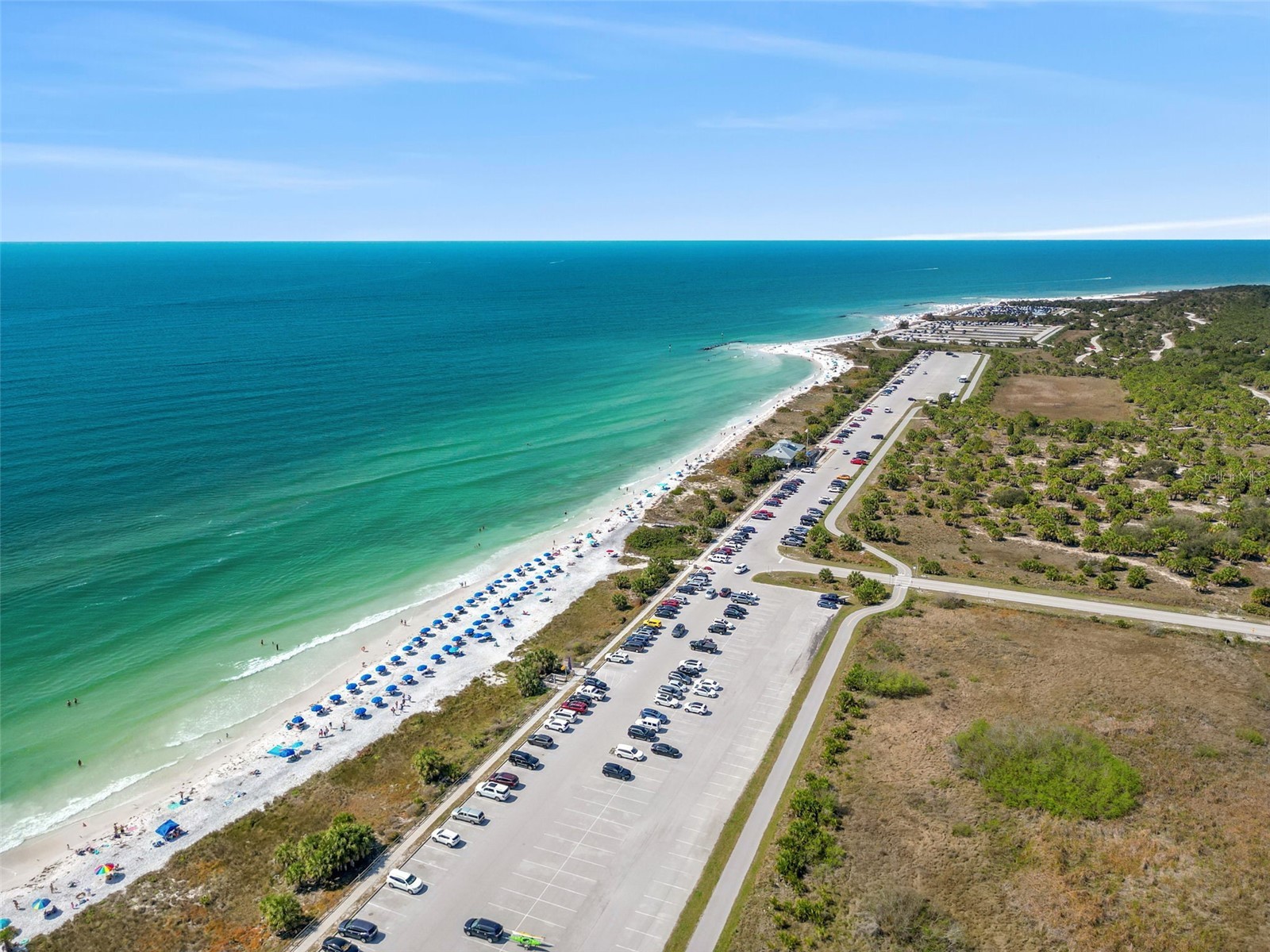 5085 Quill Court Palm Harbor FL 34685 TB8486118 image81