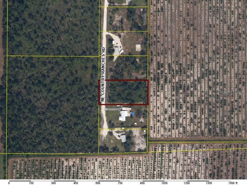 5086 NE Country Ranches Road Arcadia FL 34266 A4685005 image2