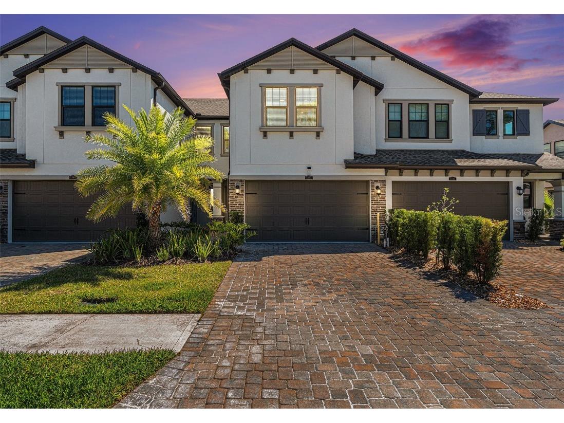 5087 San Martino Drive Wesley Chapel FL 33543 TB8353955 image1
