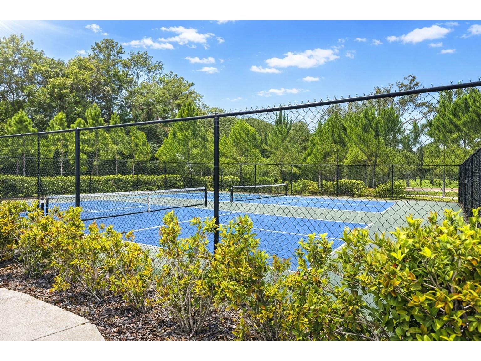 5088 Endview Pass Brooksville FL 34601 TB8524160 image24
