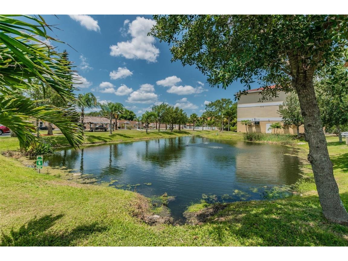 5088 Royal Palms Way #304 New Port Richey FL 34652 TB8361384 image74
