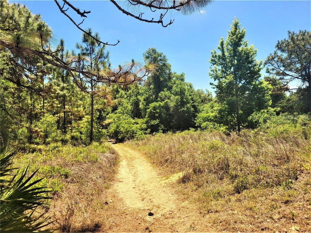 5089 N Tanglewood Avenue Hernando FL 34442 OM701287 image1