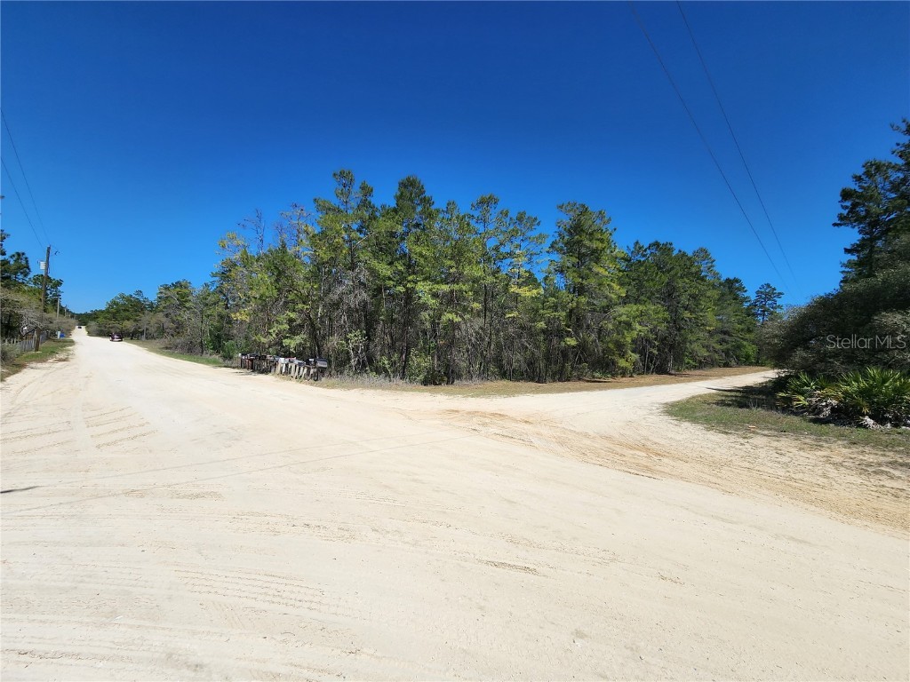 5089 W Stargazer Lane Dunnellon FL 34433 OM654827 image1