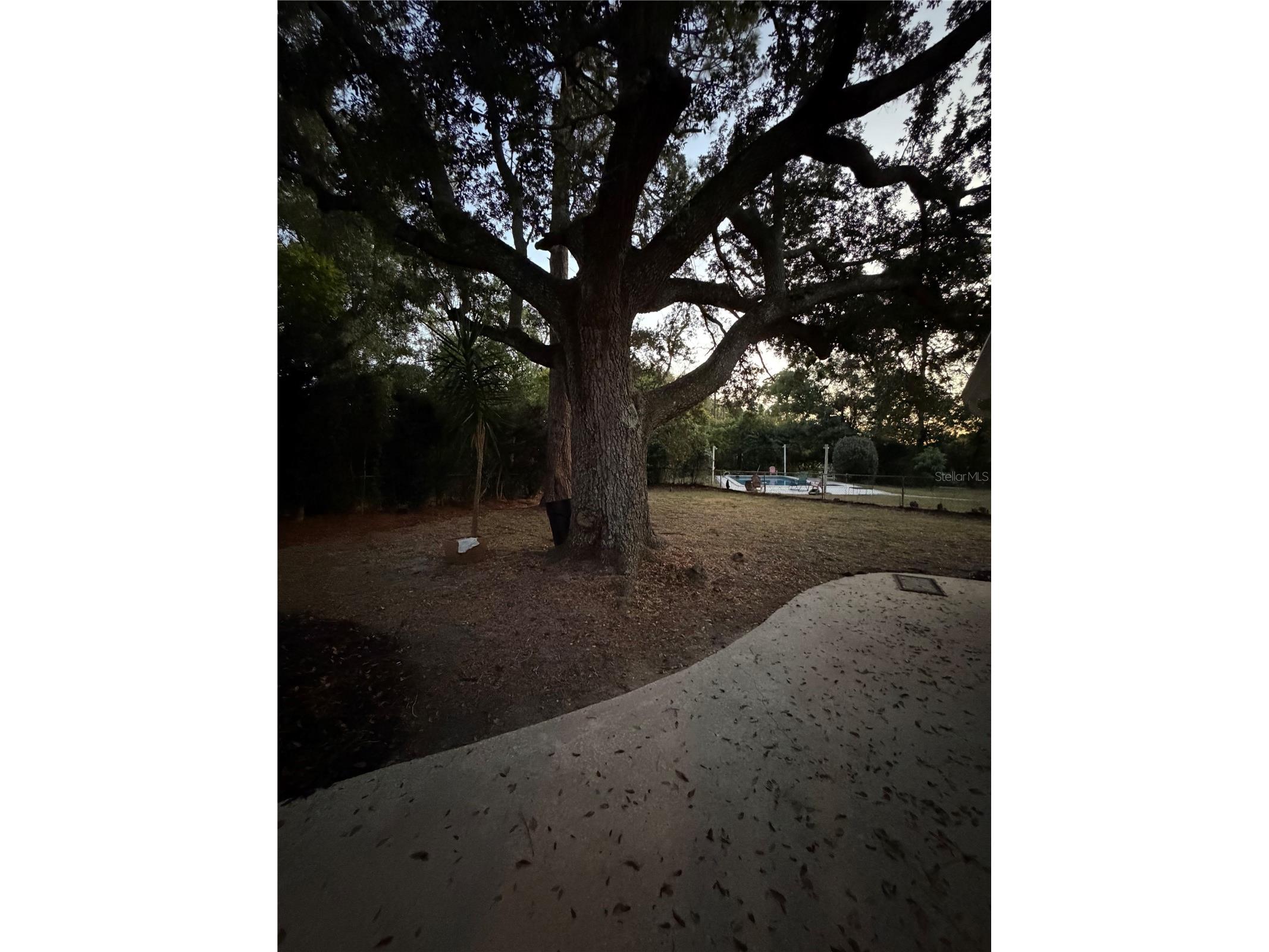 509 Baywood Court Altamonte Springs FL 32714 O6371763 image29