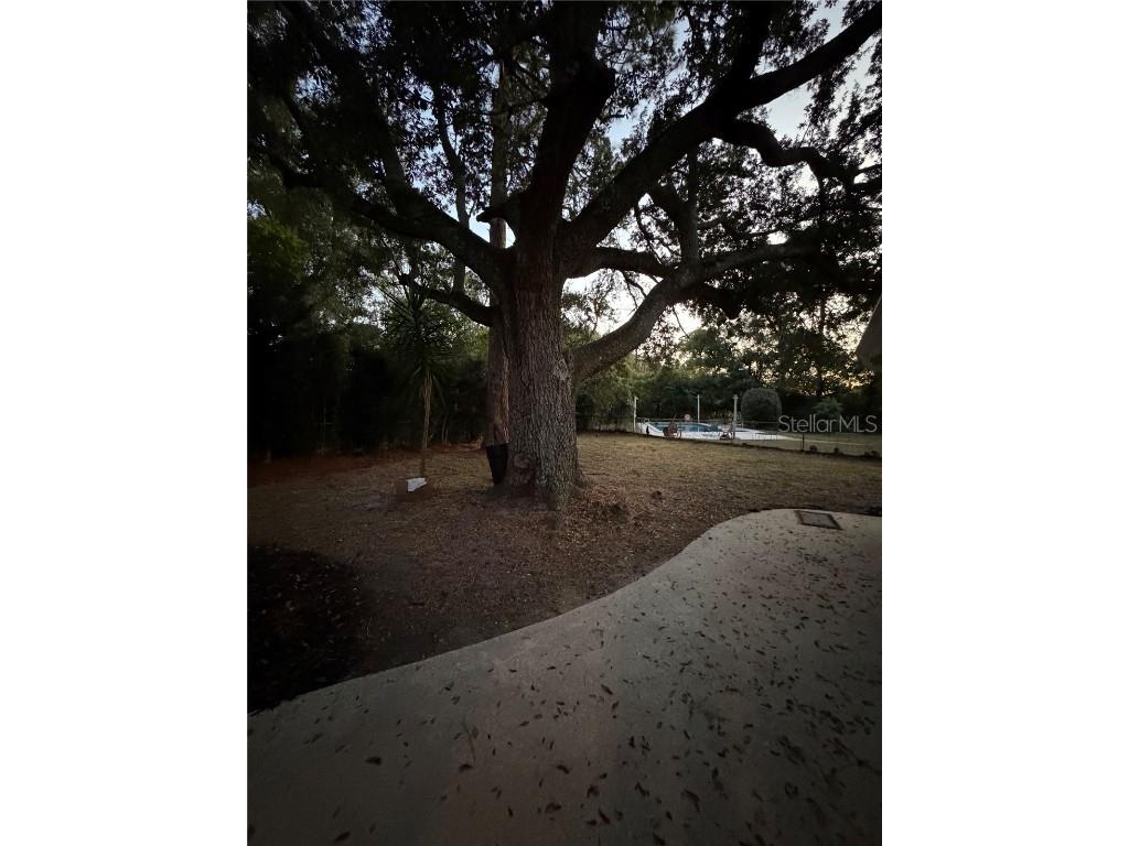 509 Baywood Court Altamonte Springs FL 32714 O6371763 image30