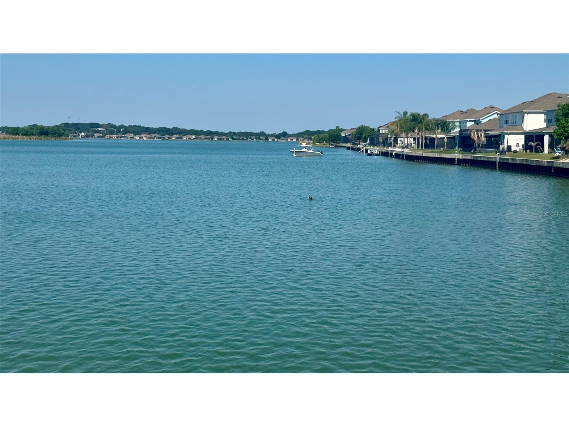 509 Blue Cypress Drive Groveland FL 34736 - LAKE MEMORY G5111330 image72