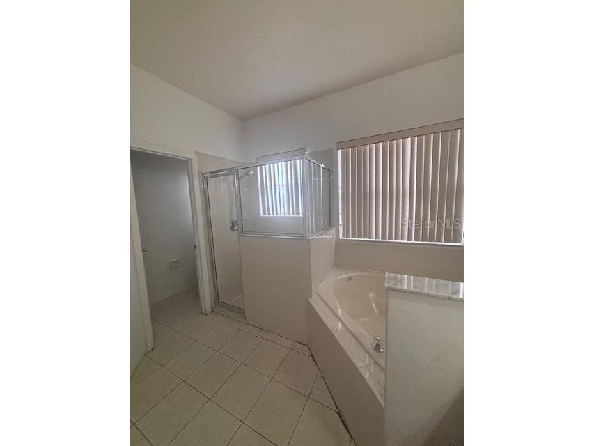 509 Brentford Court Kissimmee FL 34758 S5145996 image12