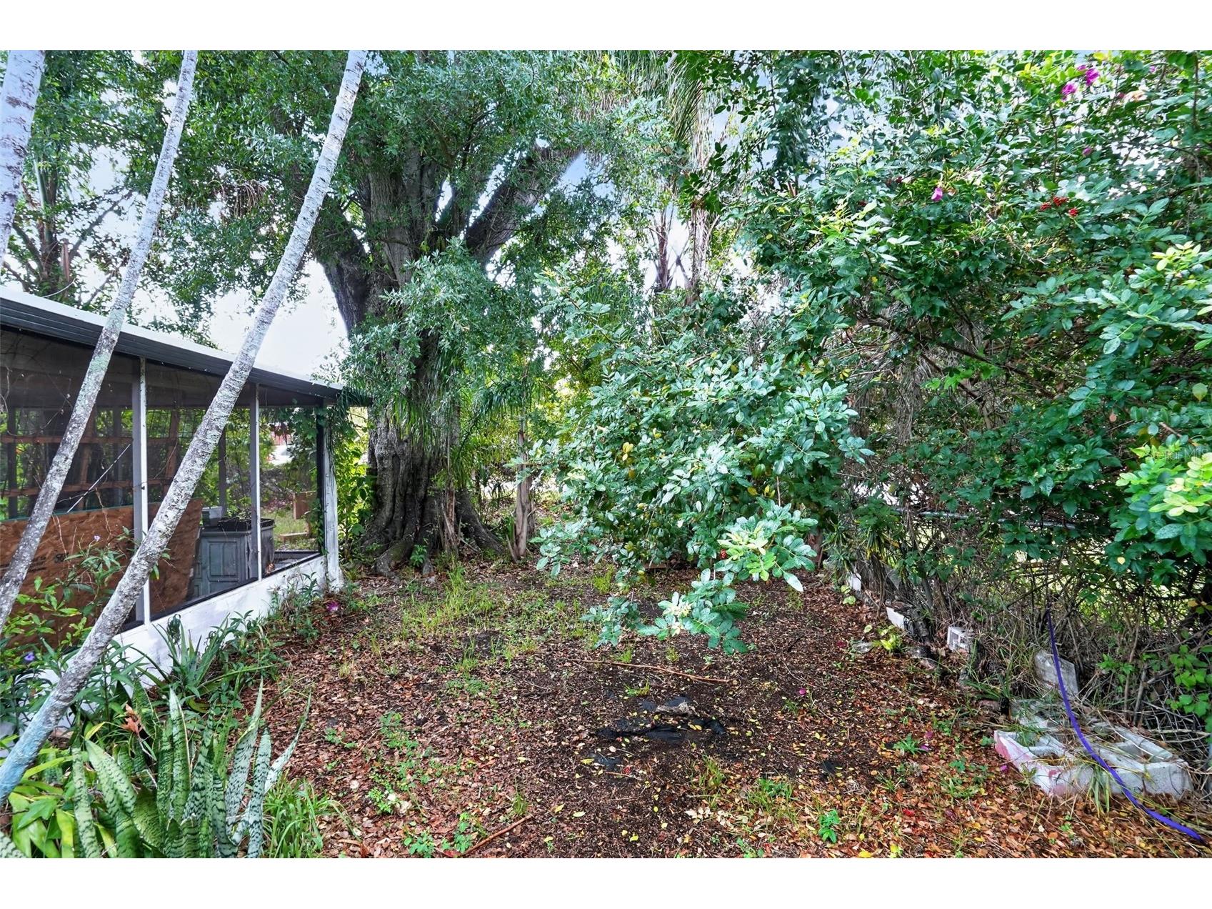 509 Domino Drive N Ruskin FL 33570 A4699121 image5