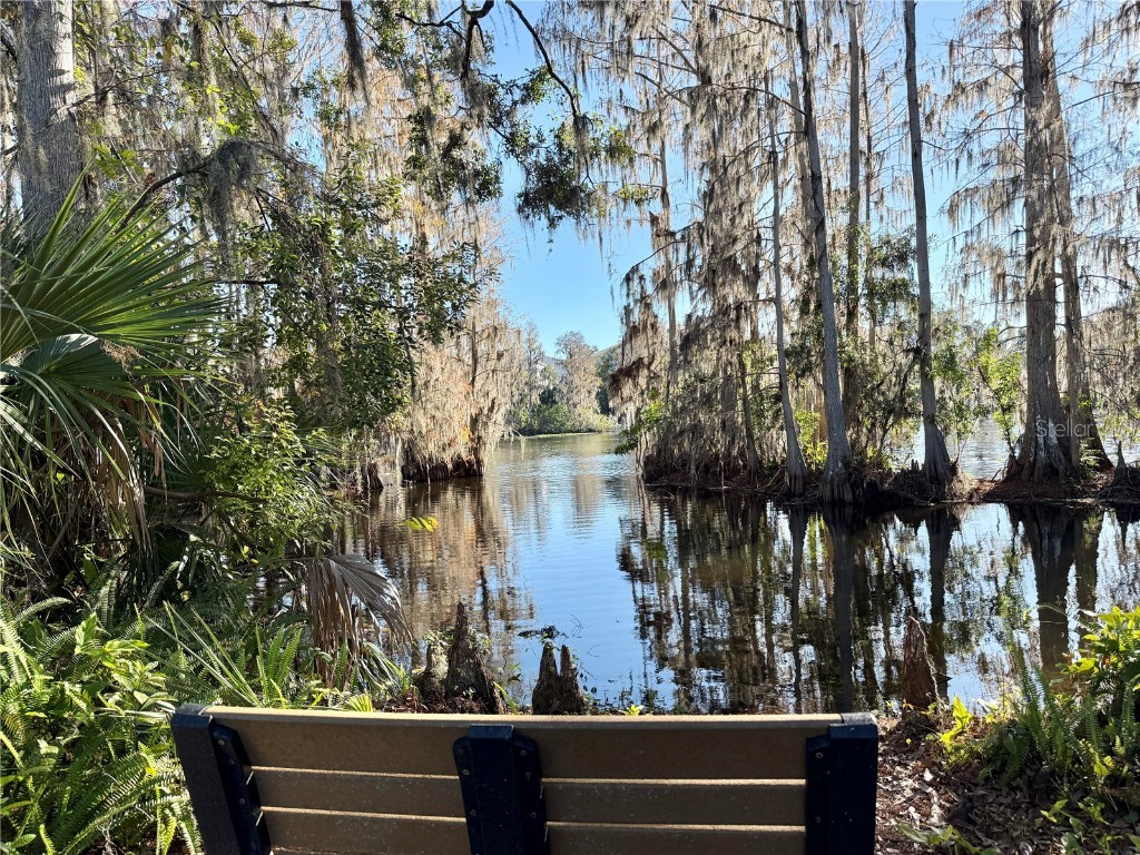 509 Falmouth Street Temple Terrace FL 33617 TB8460617 image52