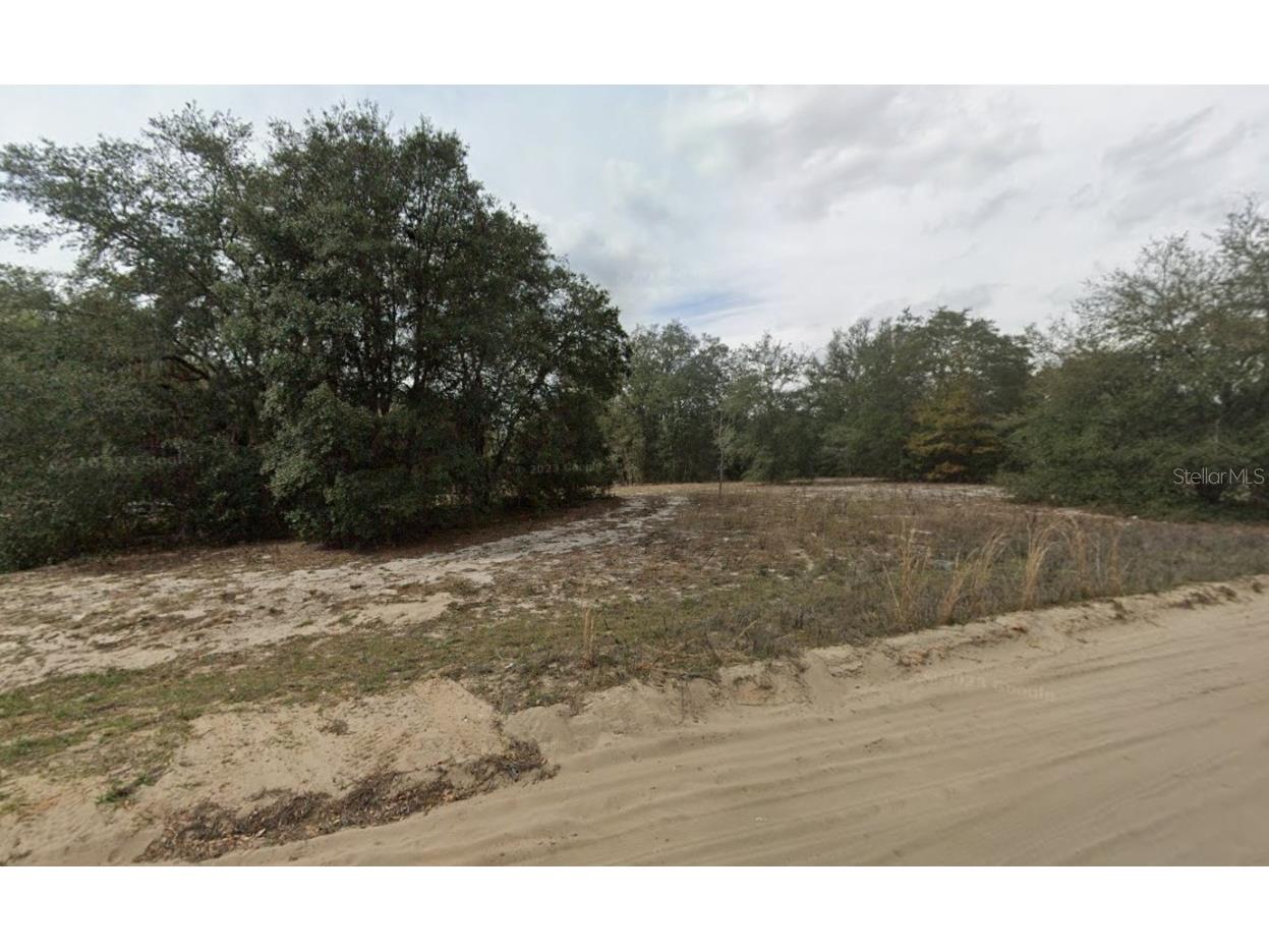 509 Lenore Avenue Interlachen FL 32148 OK225602 image1