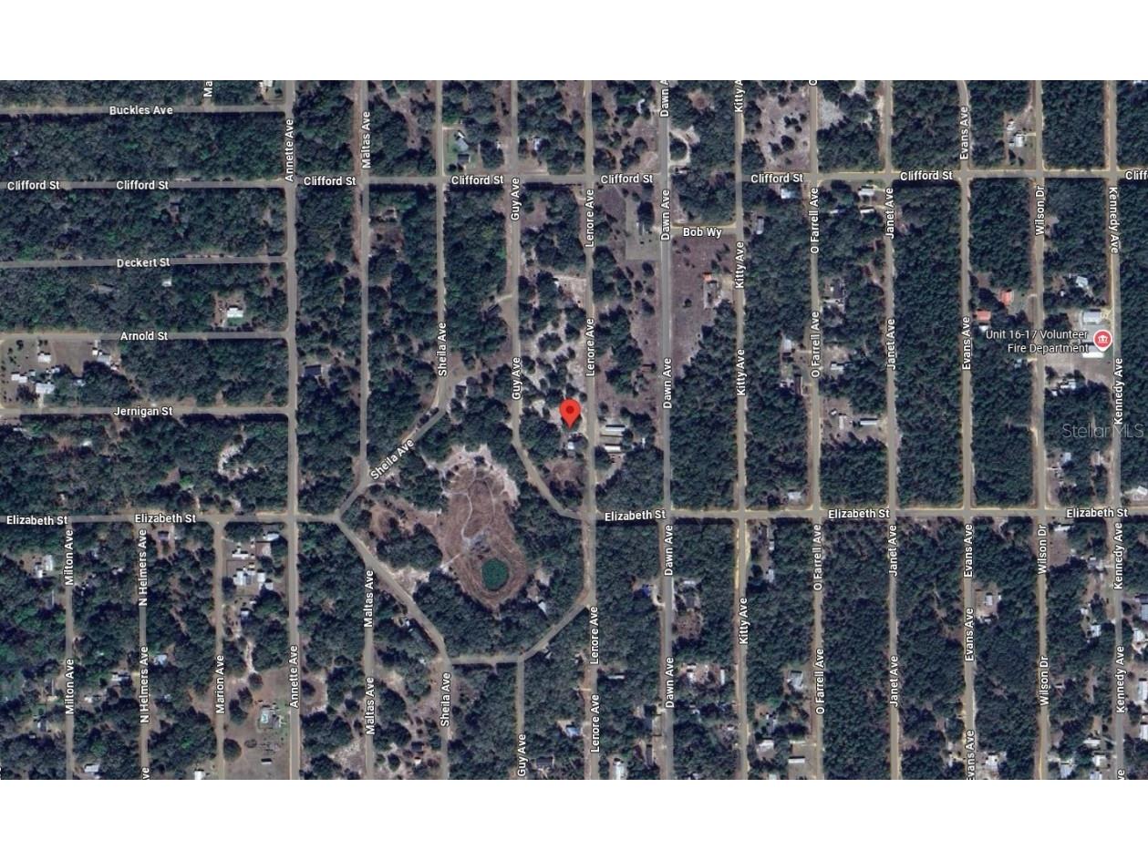 509 Lenore Avenue Interlachen FL 32148 OK225602 image4