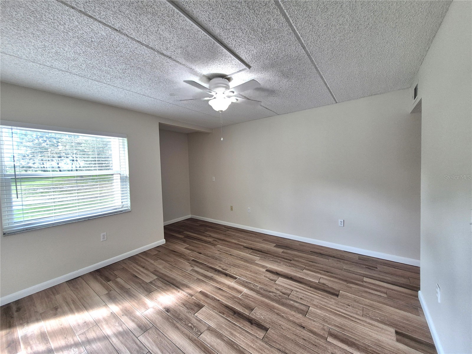 509 Meadow Lane #509 Oldsmar FL 34677 TB8496709 image12